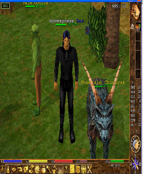 chime2_hoverptera.jpg